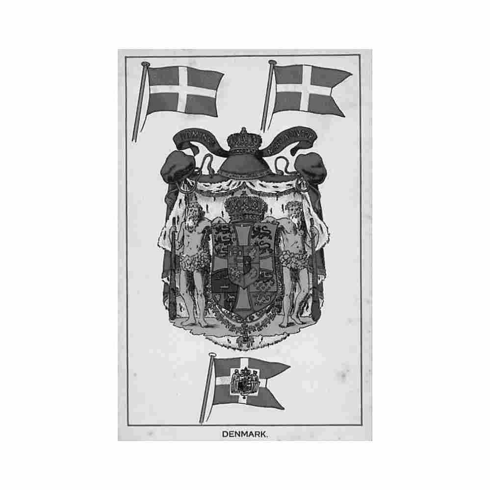 danmark danish flag and coat of arms dansk flag og vabenskjold efa Vintage A4 Photo Print