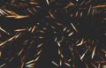 daphnia swimming motion Vintage A4 Photo Print
