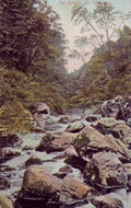 dargle stream valleyVintage 1880s 1900s A4 Photo Print