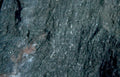 dark basalt vein Vintage A4 Photo Print