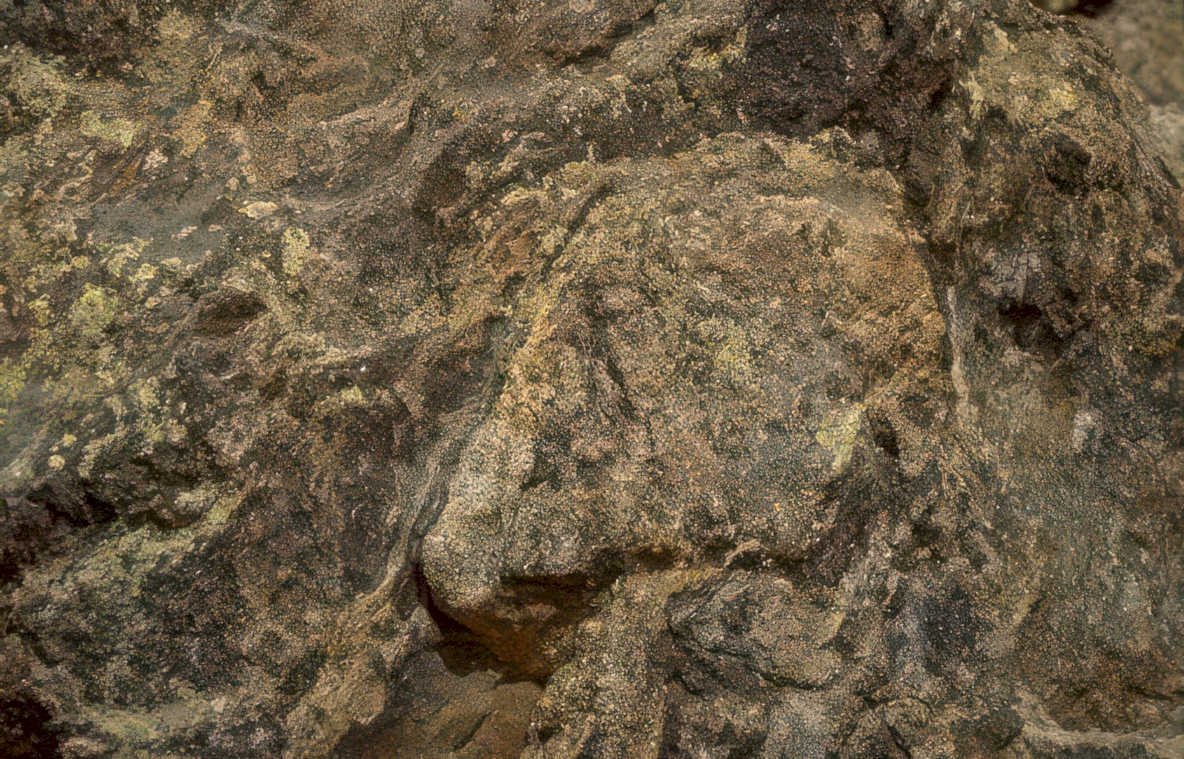 dark brown rock Vintage A4 Photo Print