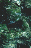 dark cave algae Vintage A4 Photo Print