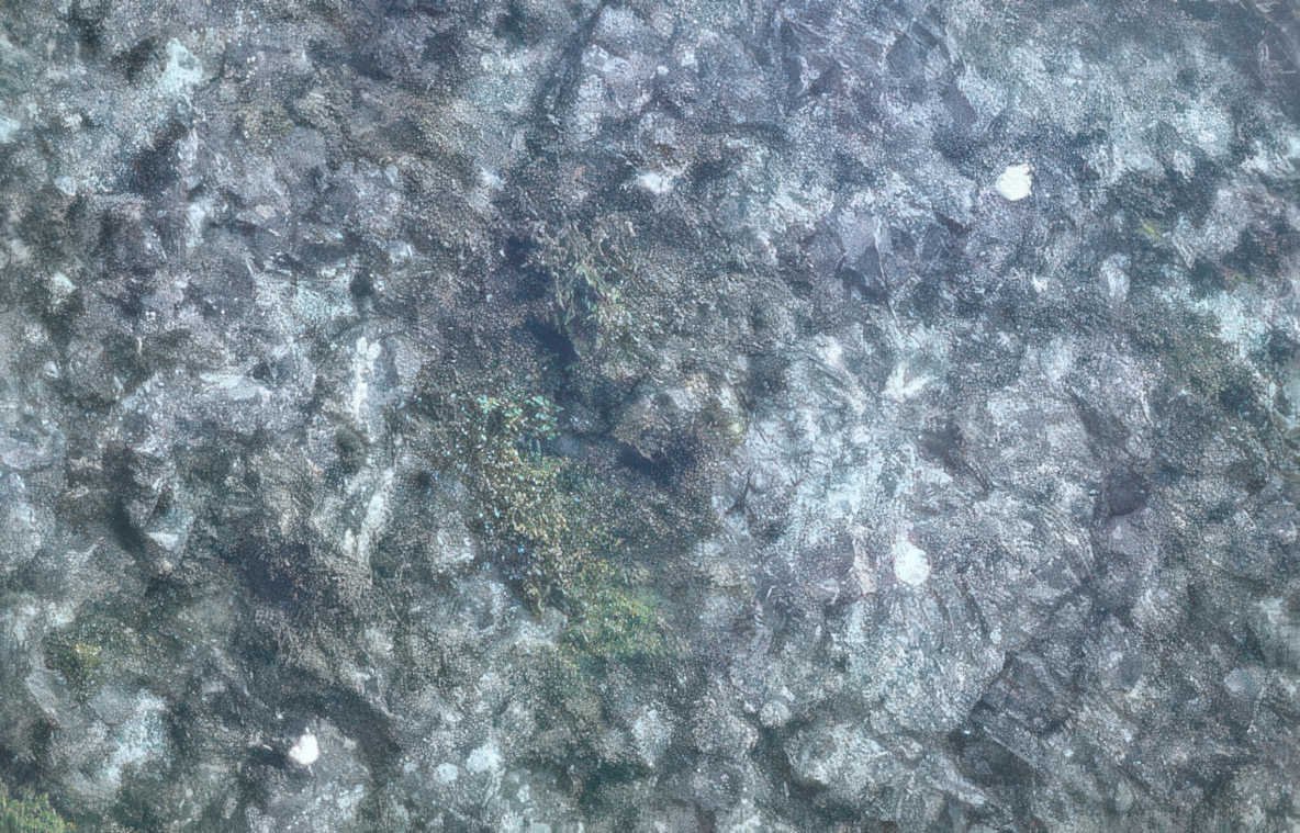dark gray rock Vintage A4 Photo Print