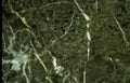 dark green marble Vintage A4 Photo Print