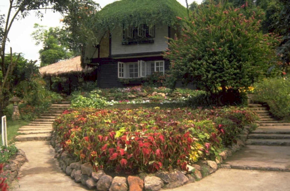 dark house garden 1980s 1990s A4 Photo Print
