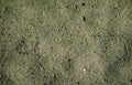 dark sand texture Vintage A4 Photo Print