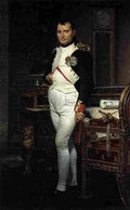 dav Napoleon in his study Art A4 Photo Print