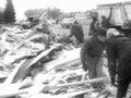 debris field relief1980s 1990s A4 Photo Print
