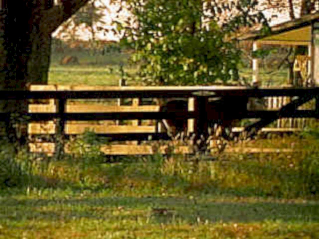 deck backyard trees1980s 1990s A4 Photo Print