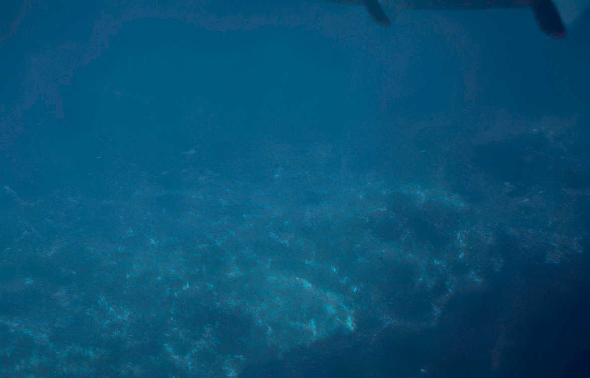 deep blue reef 2 Vintage A4 Photo Print