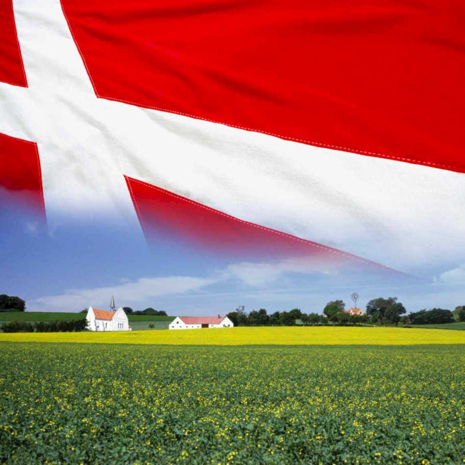 denmark flag landscape Flags1980s A4 Photo Print