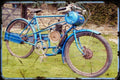 derny pacey aged A4 Photo Print