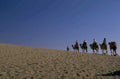 desert camel caravan 1980s 1990s A4 Photo Print