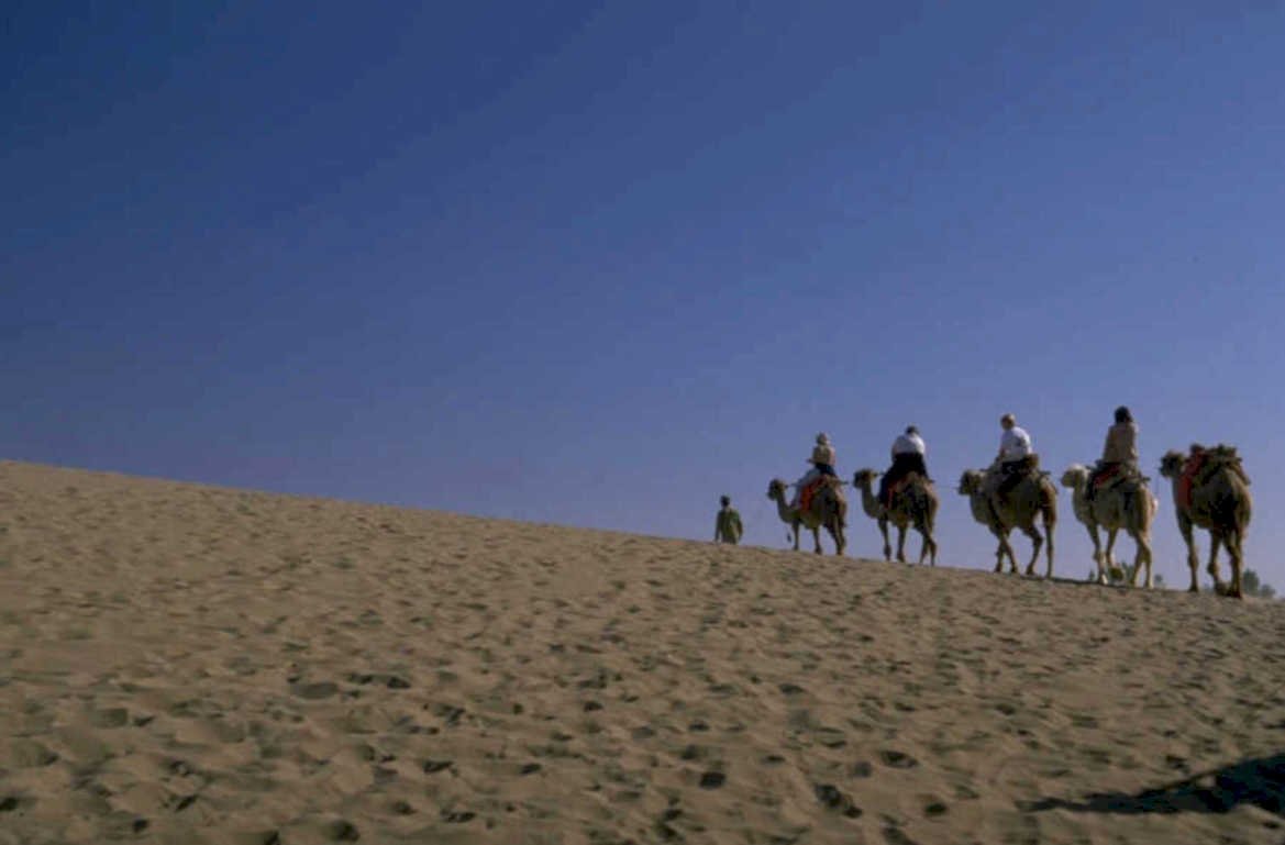 desert camel caravan 1980s 1990s A4 Photo Print