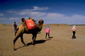 desert camel ride 1980s 1990s A4 Photo Print