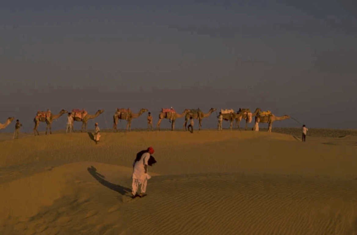 desert camel sunset 1980s 1990s A4 Photo Print