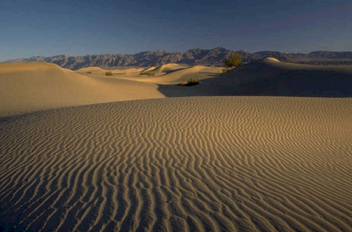 desert dunes sunrise 1 1980s 1990s A4 Photo Print