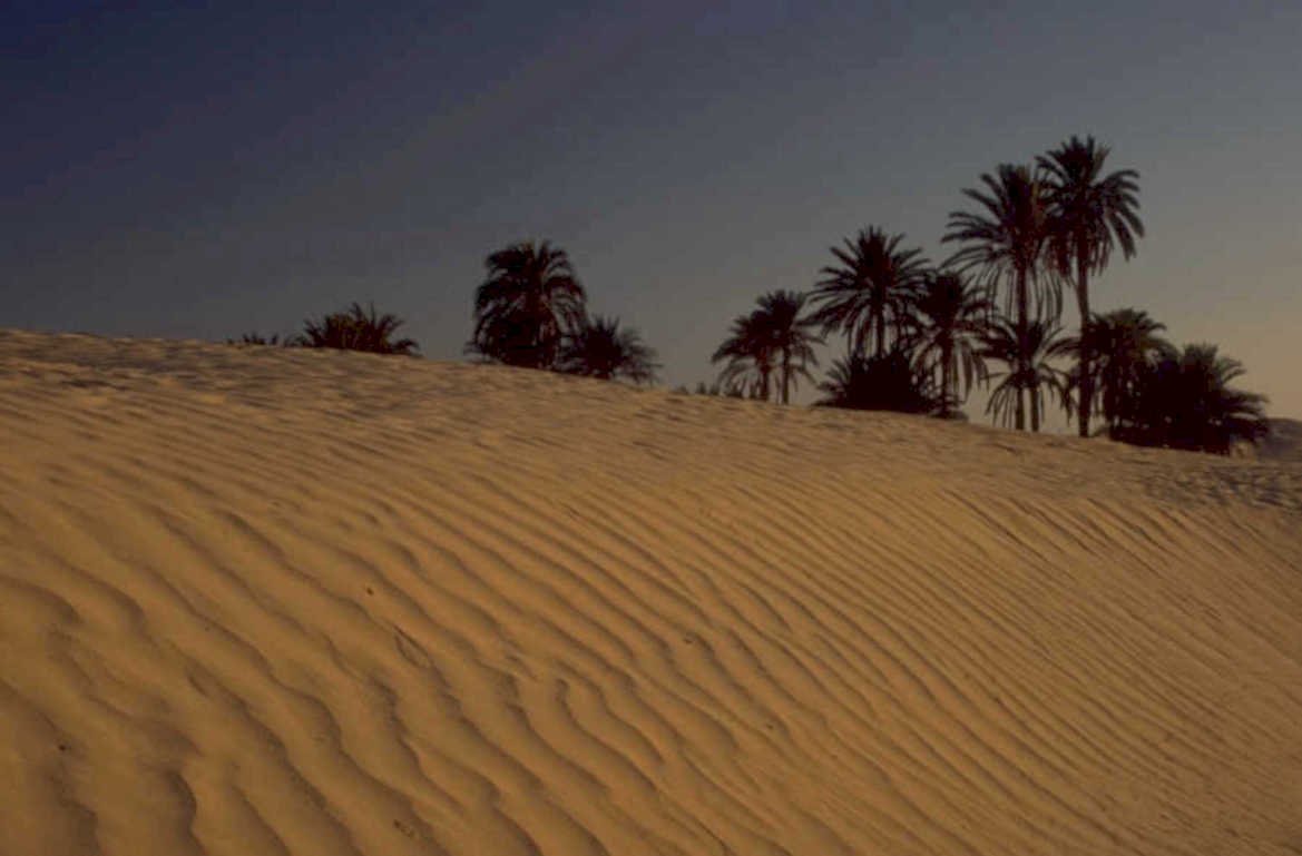 desert dunes sunset 1980s 1990s A4 Photo Print 42