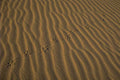 desert footprints dunes 1980s 1990s A4 Photo Print