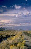 desert highway road 1980s 1990s A4 Photo Print