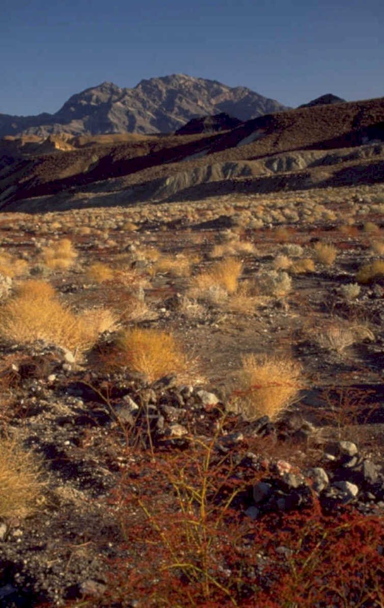desert mountains vista 1980s 1990s A4 Photo Print