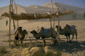 desert oasis camels 1980s 1990s A4 Photo Print