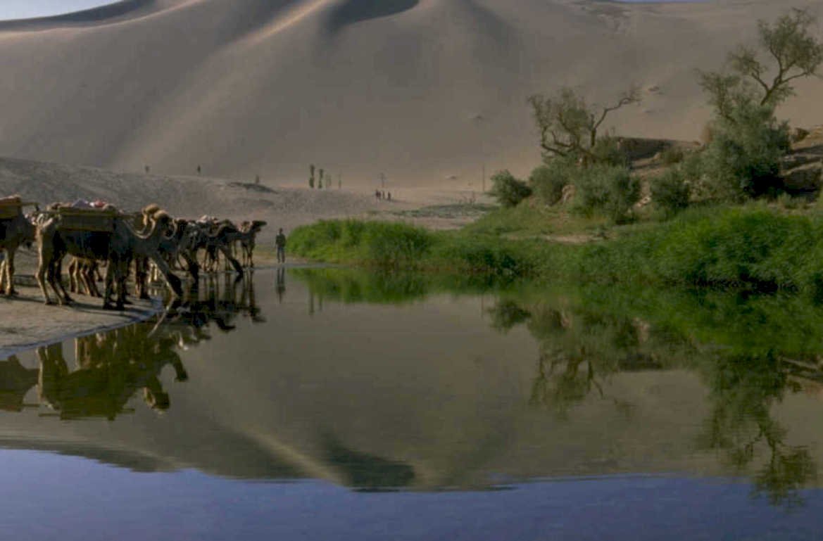 desert oasis caravan 1980s 1990s A4 Photo Print