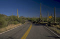 desert road saguaro 1980s 1990s A4 Photo Print 42