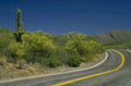 desert road saguaro 1980s 1990s A4 Photo Print
