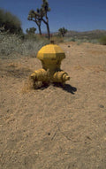desert robot arm 1980s 1990s A4 Photo Print