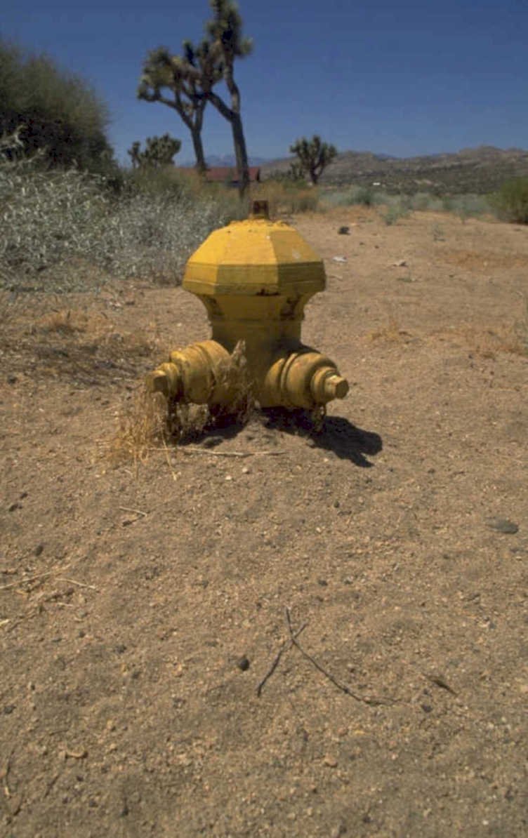 desert robot arm 1980s 1990s A4 Photo Print