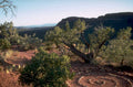 desert spiral canyon 1980s 1990s A4 Photo Print