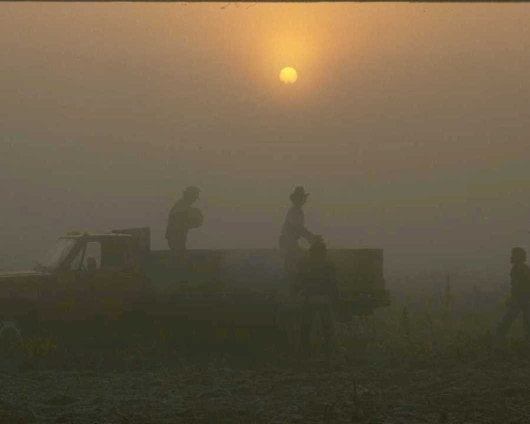 desert sunset pickup1980s 1990s A4 Photo Print