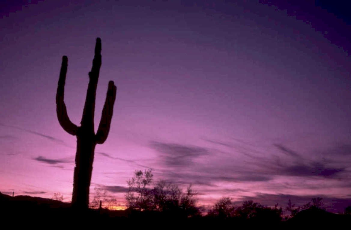 desert sunset saguaro 2 1980s 1990s A4 Photo Print