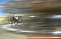 desertwranglermotion Vintage A4 Photo Print
