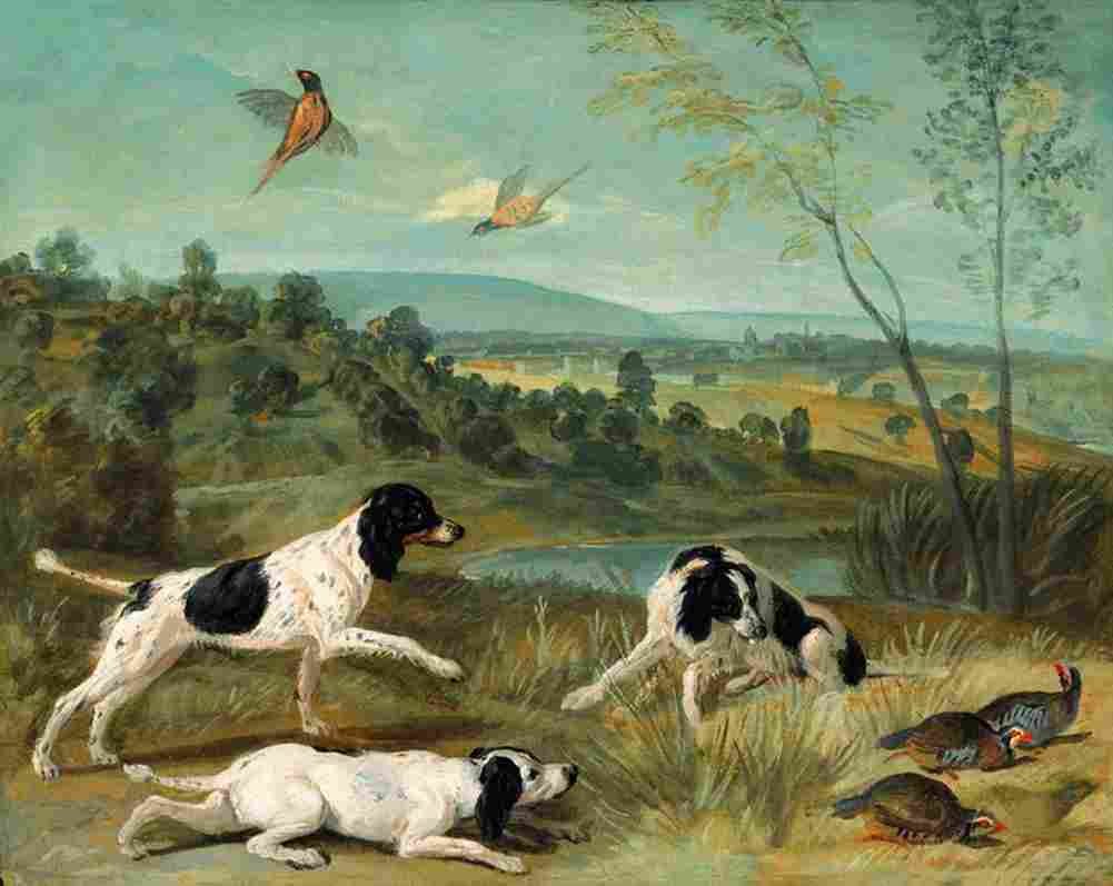 desportes bonne nonne and ponne dogs of king louis xiv Art A4 Photo Print