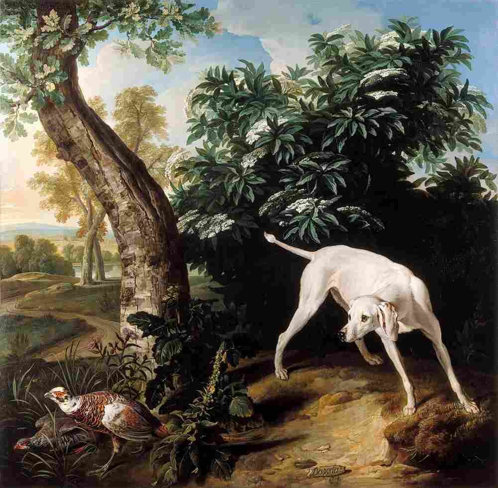 desportes white dog in front of an elderberry bush Art A4 Photo Print