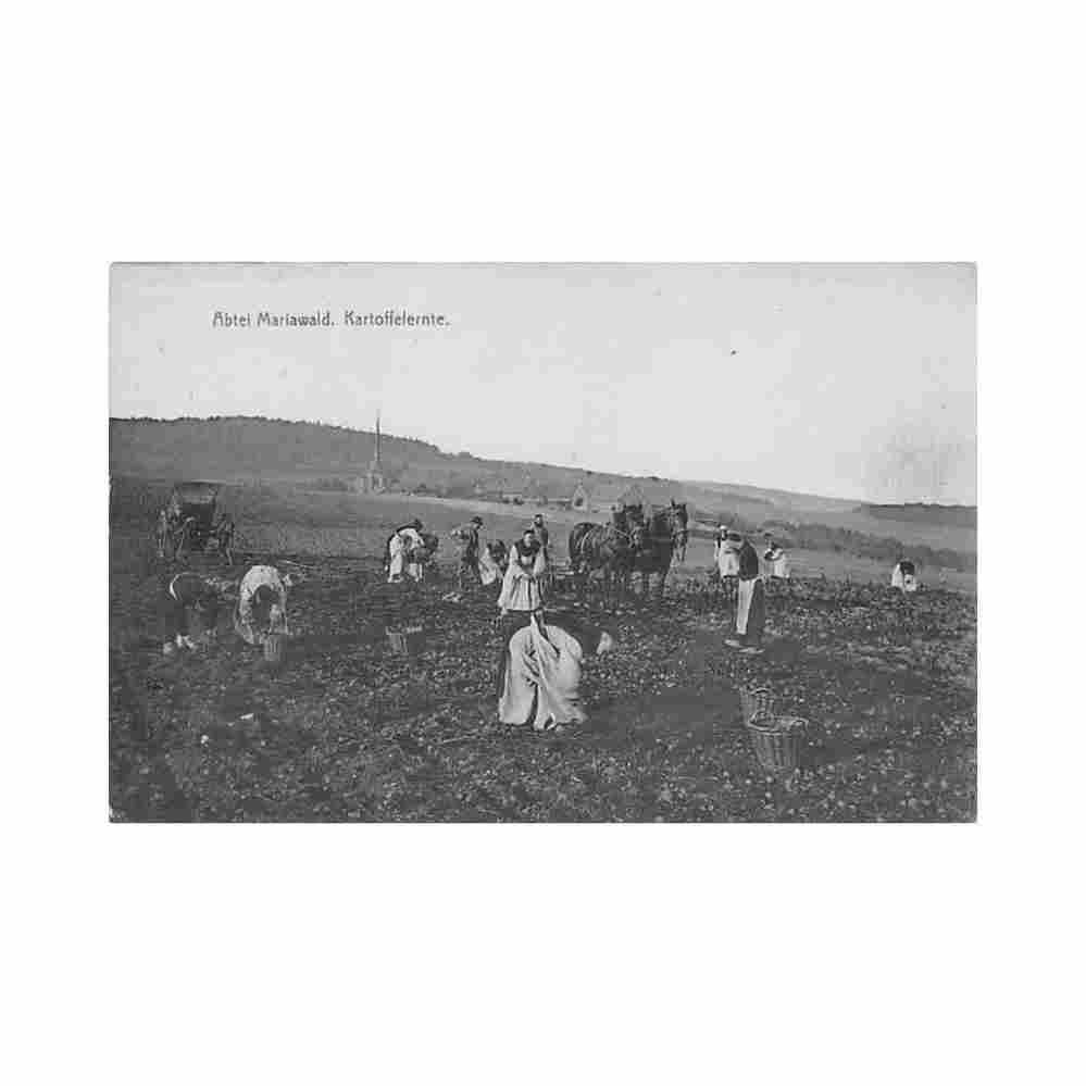 deutschland abtei mariawald nw kartoflelernte Vintage A4 Photo Print