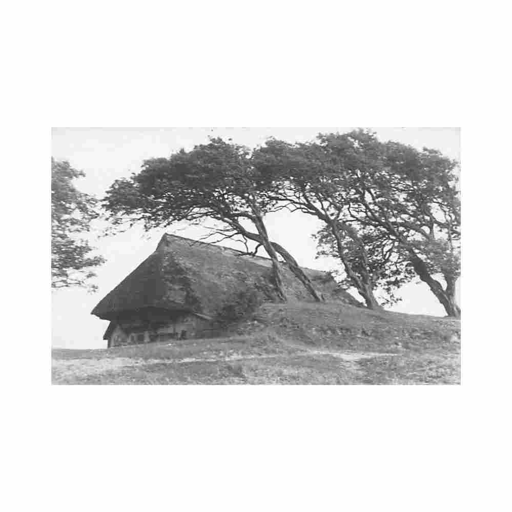 deutschland ahrenshoop mv foto boroffka Vintage A4 Photo Print