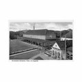 deutschland norderney central cafe partie am kurgarten Vintage A4 Photo Print
