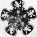 development ii mc escher 1939 s1 A4 Photo Print
