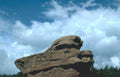 devils tower landscape Vintage A4 Photo Print