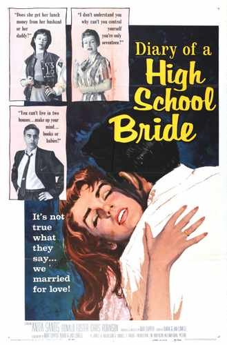 diary of high school bride  01 film star poster A4 Photo Print