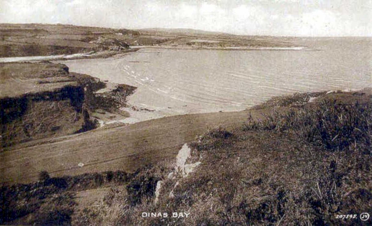 dinas bay aerialVintage 1880s 1900s A4 Photo Print