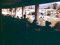 dinosaur bench scene1980s 1990s A4 Photo Print