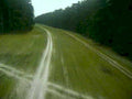 dirt road pine1980s 1990s A4 Photo Print