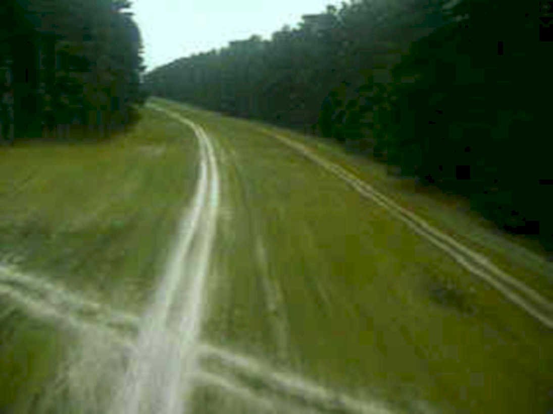 dirt road pine1980s 1990s A4 Photo Print