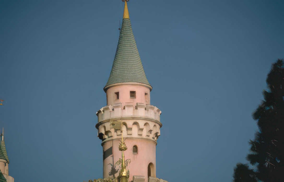 disneyland castle pink Vintage A4 Photo Print