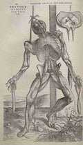 dissect Art A4 Photo Print