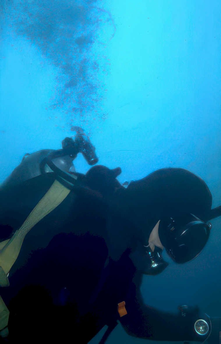 diver blue bubbles Vintage A4 Photo Print